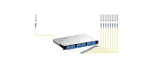 Port Breakout mit Port Breakout Unit