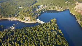 Die Rappbodetalsperre im Harz ist von Wäldern umgeben und die größte Trinkwassertalsperre Deutschlands.