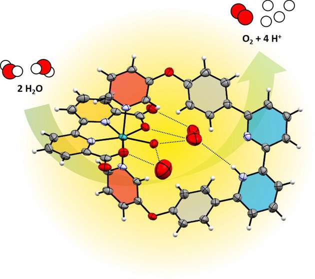 Enzym-ähnliche Wasserorganisation vor einem Ruthenium-Wasseroxidations-Katalysator