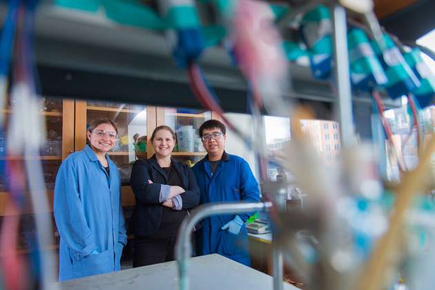 Professor Ariel Furst (Mitte), die Studentin Rachel Ahlmark (links), der Postdoktorand Gang Fan (rechts) und ihre Kollegen setzen biologische Materialien, einschließlich DNA, ein, um Kohlendioxid in wertvolle Produkte umzuwandeln.