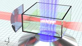 Beim 3D-Lichtblattdruck lassen sich mit rotem und blauem Laserlicht Objekte im Mikrometermaßstab präzise und schnell drucken.