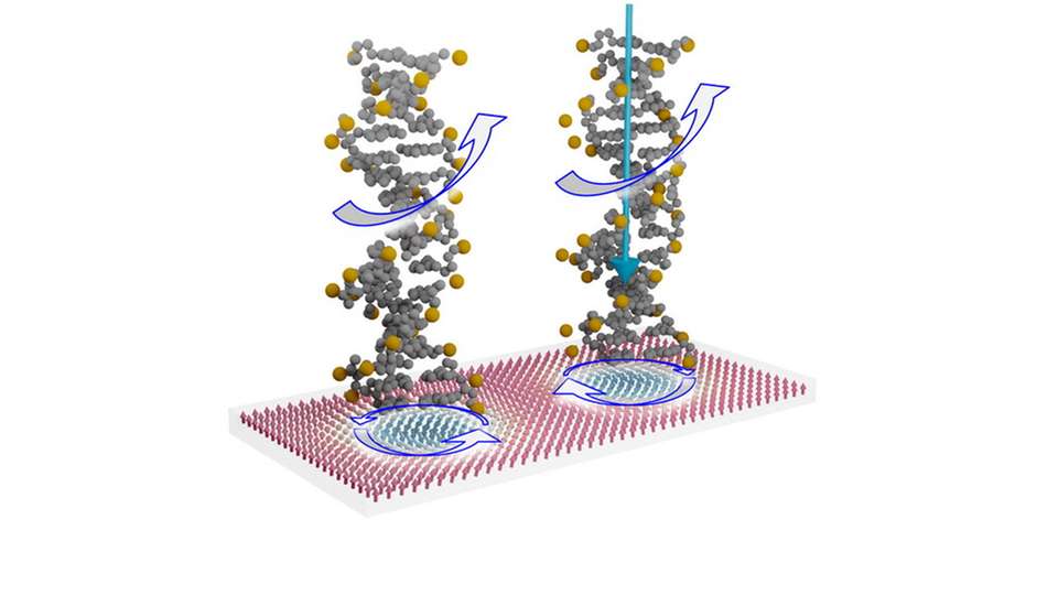 Schematische Darstellung von zwei chiralen Molekülen auf chiralen Spinstrukturen in einer magnetischen Dünnschicht