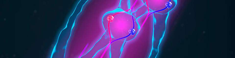 Darstellung von verschränkten Atomen in einem Interferometer: Mit einer Kombination aus zwei quantenmechanischen Phänomenen wollen Forscher fundamentalen physikalischen Gesetzen auf den Grund gehen.