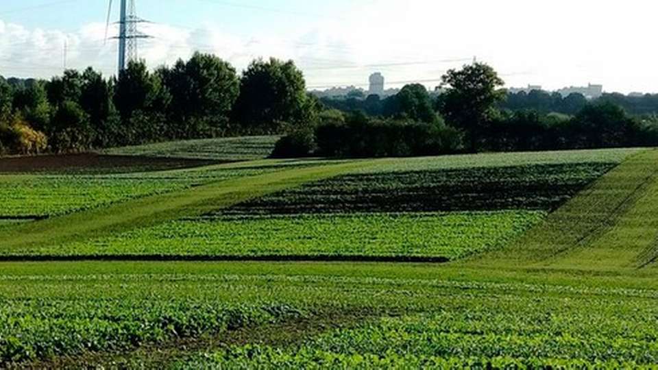 Das EU-Projekt „Soilmonitor“ soll zu einer umweltschonenderen Bewirtschaftung landwirtschaftlicher Böden beitragen. Tests dazu finden unter anderem auf den Flächen des Versuchsbetriebs Hohenschulen statt.