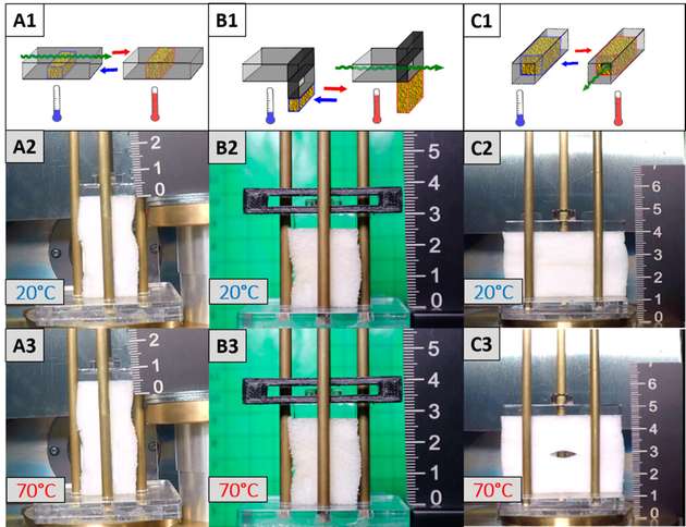 Schematische Darstellung des Schaumstoffaktuator-Konzepts der ersten (A1), zweiten (B1) und dritten Generation (C1): Grenzzustände der Demonstratoren bei tieferer Temperatur (A2, B2, C2) und erhöhter Temperatur (A3, B3, C3)