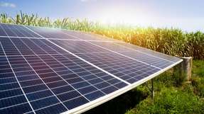 Die bisherige Gechäftsführung von WPD Solar wird verstärkt.