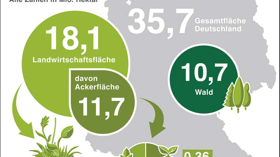 Entgegen der Forderungen des Bundeslandwirtschaftministers sieht der Bundesverband der deutschen Bioethanolwirtschaft keinen Gegensatz in der „Tank-Teller-Trog“-Frage.