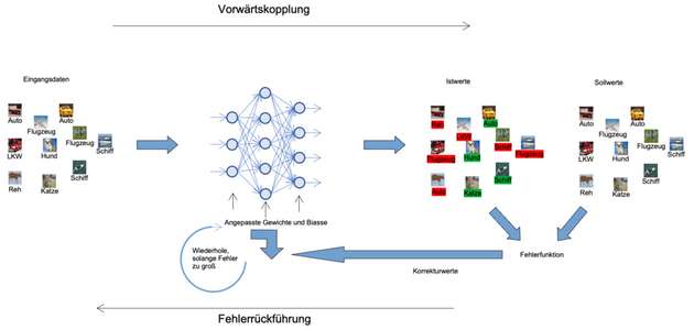 Abbildung 2: Trainingsschleife bestehend aus Vorwärtskopplung und Fehlerrückführung
