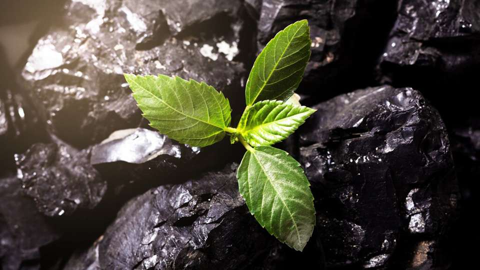 Durch thermische Veredlung und Fraktionierung sollen biogene Reststoffen rückstandsfrei in „grüne“ Chemikalien und „grüne“ Kohle umgesetzt werden.