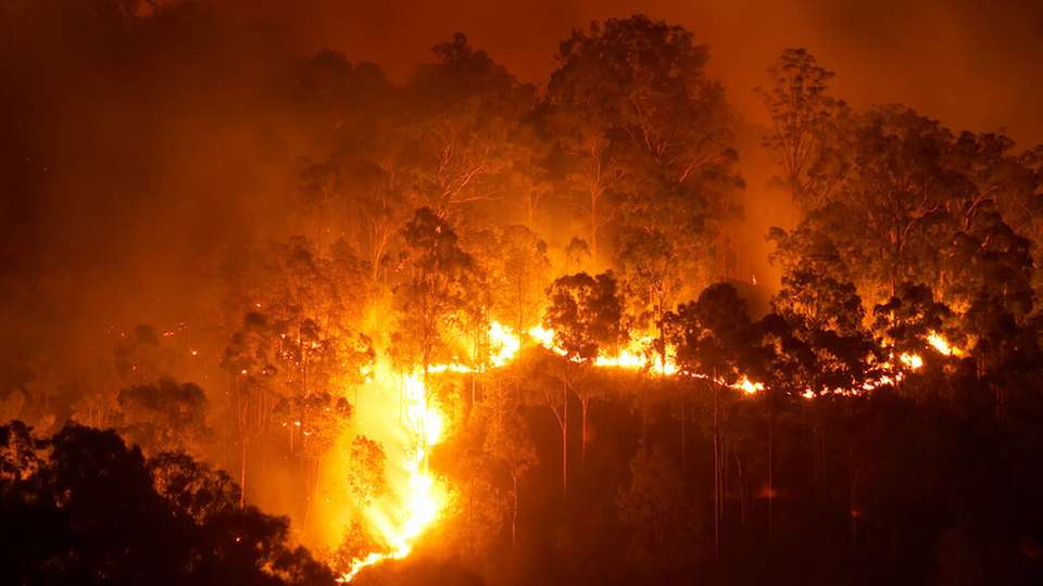Aktuelle Studien schätzen, dass Waldbrände für etwa fünf bis zehn Prozent der weltweiten CO2-Emissionen verantwortlich sind.