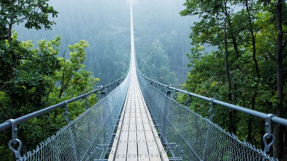 Hängende Anwendungen stellen ganz spezielle Anforderungen an die verwendeten Leitungen.