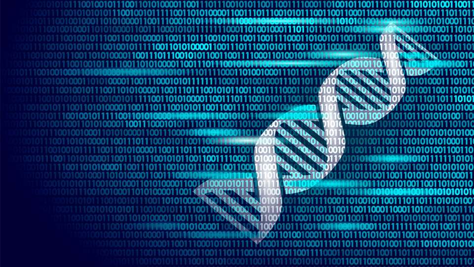 Die Methode „Genetische Generische Generierung von Indexstrukturen (GENE)“ basiert auf sogenannten „evolutionären Algorithmen“, einer speziellen Art der Optimierungsalgorithmen.