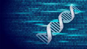 Die Methode „Genetische Generische Generierung von Indexstrukturen (GENE)“ basiert auf sogenannten „evolutionären Algorithmen“, einer speziellen Art der Optimierungsalgorithmen.