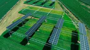 Im Reallabor für Agri Food-Energy-Park (AgriFEe) des Instituts für Pflanzenwissenschaften am Forschungszentrum Jülich werden neue Konzepte für die Agri-Photovoltaik erprobt.