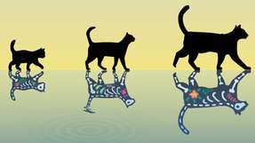 Forschende der ETH Zürich haben Fortschritte bei der Herstellung schwererer Schrödinger-​Katzen gemacht, die gleichzeitig lebendig (oben) und tot (unten) sein können.