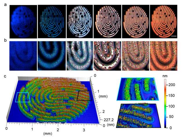 Sechs unterschiedliche künstliche Fingerabdruckmuster versehen mit verschiedenen Eigenschaften, um individuelle Fluoreszenz und Topographie sichtbar zu machen. Die Syntheseparameter wurden aus der Nanofilm-Bibliothek abgeleitet.