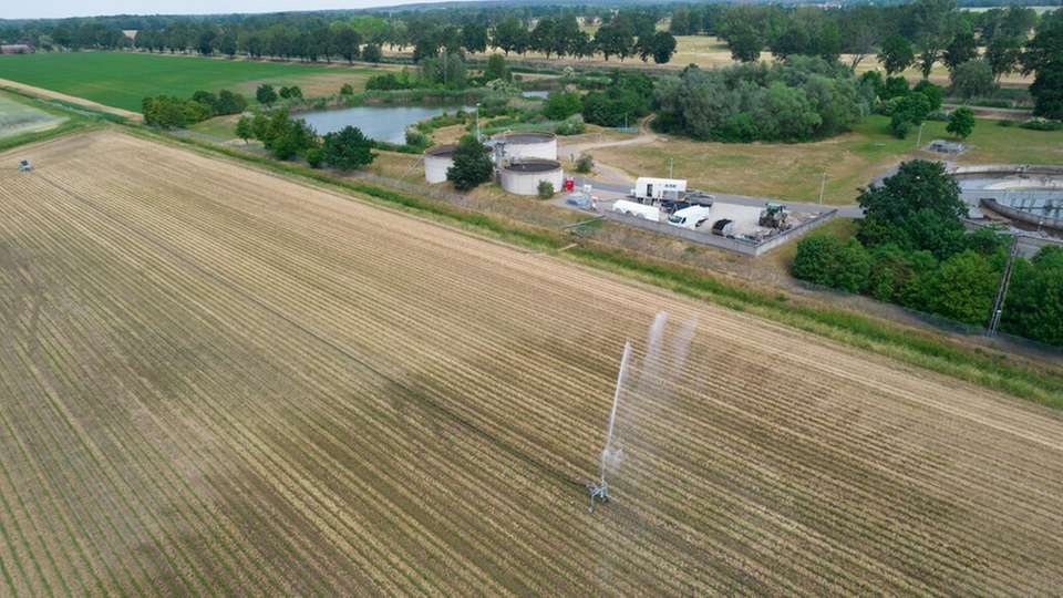 Klarwasser-Beregnung des Versuchsfeldes an der Kläranlage Uebigau