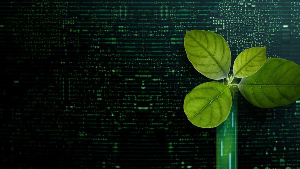 IT muss ein integraler Bestandteil jeder Nachhaltigkeitsstrategie sein, zumal die IT-Landschaften der Unternehmen aufgrund der voranschreitenden Digitalisierung schnell wachsen.