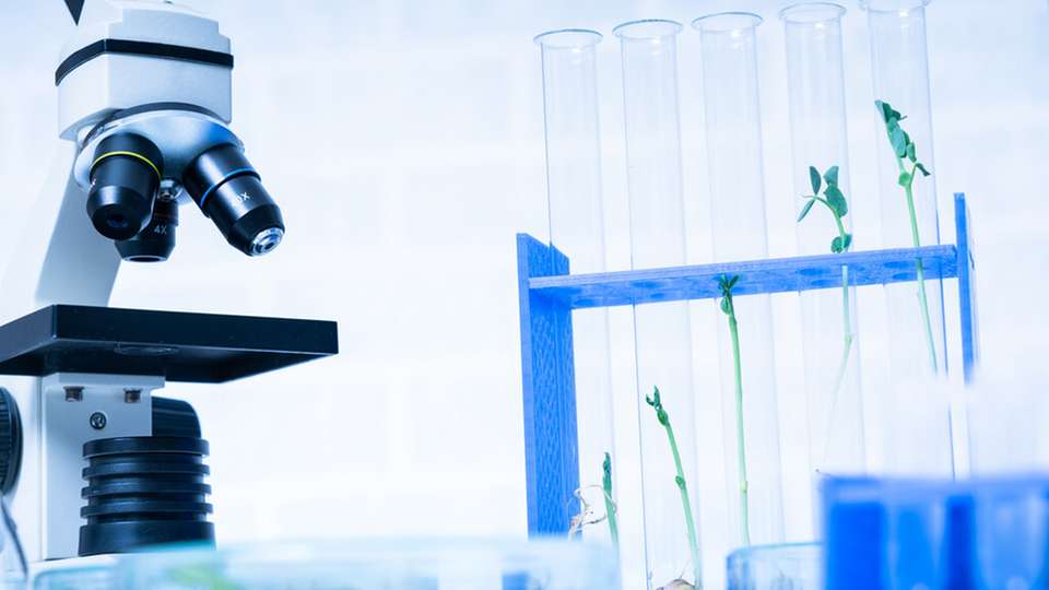 Professor Dr. Peter Neubauer erhält eine renommierte Auszeichnung für seine Forschung im Bereich der Prozessanalysetechnik und der Optimierung von Bioprozessen.