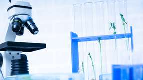 Professor Dr. Peter Neubauer erhält eine renommierte Auszeichnung für seine Forschung im Bereich der Prozessanalysetechnik und der Optimierung von Bioprozessen.