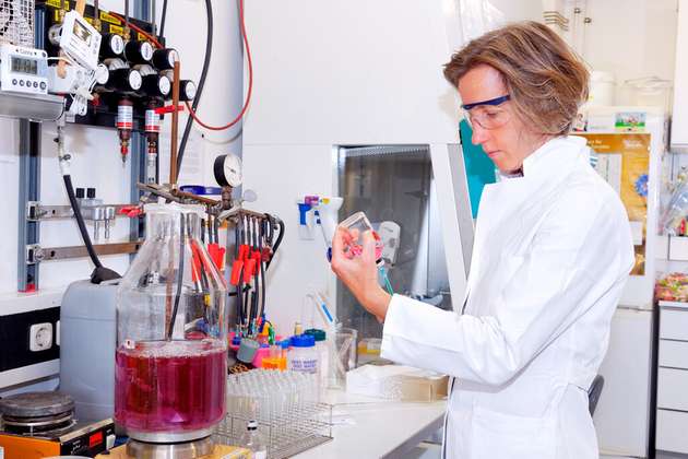 Professorin Ruth Schmitz-Streit und Forscher aus ihrer Arbeitsgruppe an der Uni Kiel waren an der neuen Studie über das erstmalig-beschriebene PET-abbauende Enzym PET46 aus einem nicht-kultivierten Tiefsee-Mikroorganismus beteiligt.