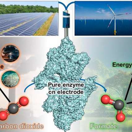 Der Prozess der Gasumwandlung durch eine enzymatische Reaktion auf Elektrodenbasis.