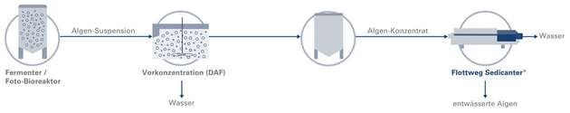 Zunächst wird die Algensuspension aus dem Photobioreaktor vorkonzentriert. Danach fließt das Algenkonzentrat weiter in den Flottweg Sedicanter, wo die Zellernte stattfindet.