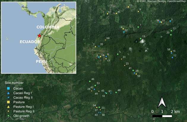 Die Untersuchungsflächen der Soundstudie liegen im Norden von Ecuador.