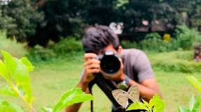 Naturfotographen weltweit teilen ihre Aufnahmen zur Biodiversität in den sozialen Medien – ein riesiges Potenzial auch für die Biodiversitätsforschung.