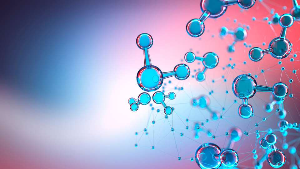 „MolekülBestien“ als Basis für neue Bindungen