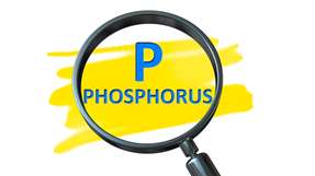Das Graduiertenkolleg an der Rheinland-Pfälzischen Technischen Universität (RPTU) in Kaiserslautern strebt die Reduktion der Phosphor-Konzentration um den Faktor 100 an, um essentielle Ressourcen zu schonen und den Rückgewinnungsprozess als Wertstoff zu etablieren. 