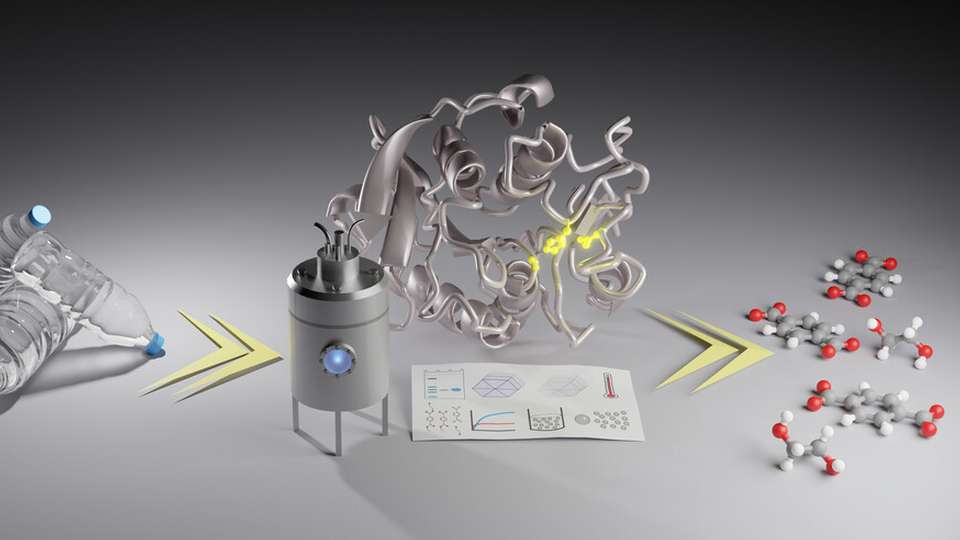 Neue Erkenntnisse erleichtern den Einsatz von PETRecyclingEnzymen