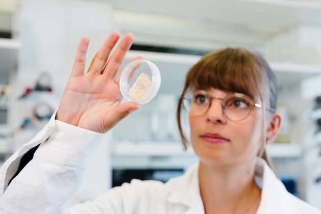 Im Bielefelder Projektteil wird unter anderem die optimale Formulierung für den Wirkstoff entwickelt, also eine anwendbare Form für den Einsatz des Blaualgen-Zuckers als Herbizid.