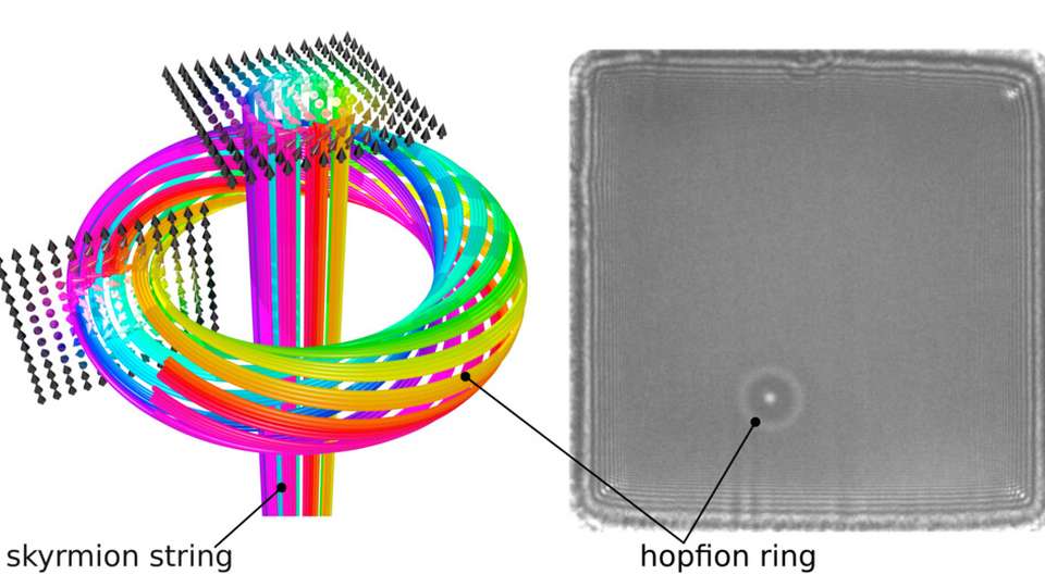 Links: Schematische Darstellung der Magnetisierung des Hopfionenrings um einen Skyrmionfaden
Rechts: Elektronenmikroskopische Aufnahme eines Hopfionenrings um einen einzelnen Skyrmionenfaden in einem Eisen-Germanium-Plättchen