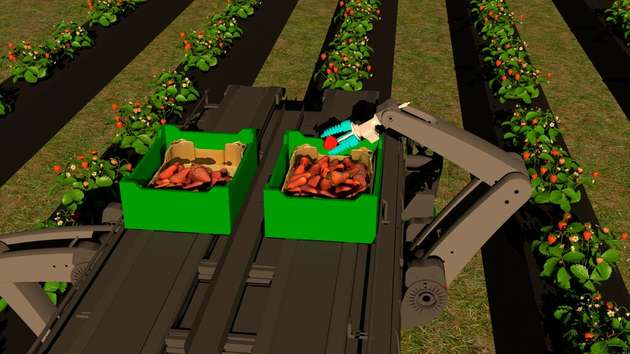 Die Animation zeigt, wie der Erdbeerpflückroboter am Ende arbeiten soll. Zwei Arme greifen alle drei Sekunden eine Erdbeere.