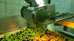 Zur Bestimmung von Feuchtigkeit und Ölgehalt ist der Distanzmesskopf über dem Förderband mit den Oliven montiert. 