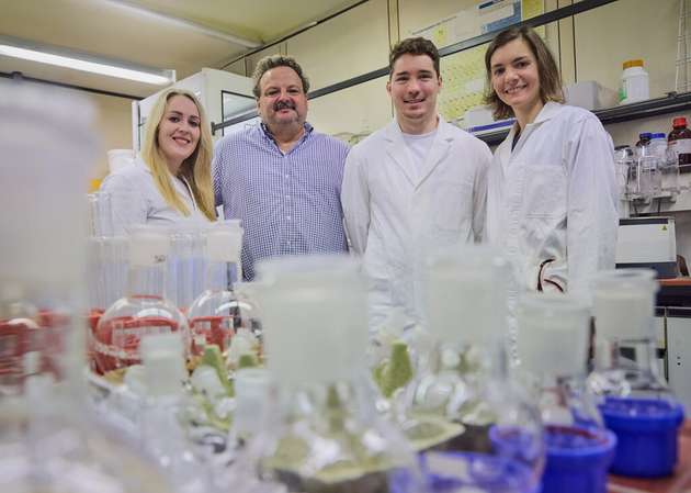Das Team des Kekulé-Institut für Organische Chemie und Biochemie: (von links) Katharina Pieper, Prof. Dr. Andreas Gansäuer, Christian Köhler und Regine Mika vom Kekulé-Institut für Organische Chemie und Biochemie der Universität Bonn.