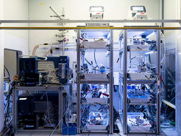 Empa-Forscher analysieren in diesem System mehrere Plattformchemikalien gleichzeitig.