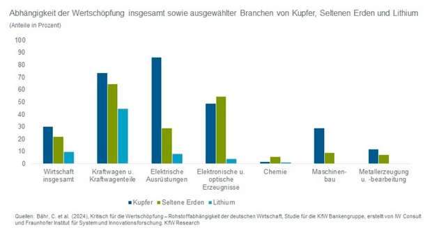 Abhängigkeit von Kupfer, Lithium und seltenen Erden nach Branche