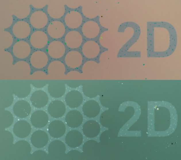 Die unterschiedlichen Oberflächenkräfte im Nanomaßstab ermöglichen es den Forschern, den Klebematrix-Transfer an viele verschiedene Materialien anzupassen. Hier zum Beispiel können sie mit Hilfe von Klebstoffpolymeren strukturiertes Graphen, eine ein Atom dicke Kohlenstoffschicht, von einem Ausgangssubstrat (Bild oben) auf ein aufnehmendes Klebstoffpolymer (Bild unten) übertragen.