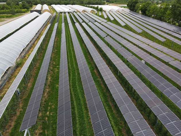 Zu sehen ist die Agri-PV-Anlage in Oberkirch-Nussbach von oben.