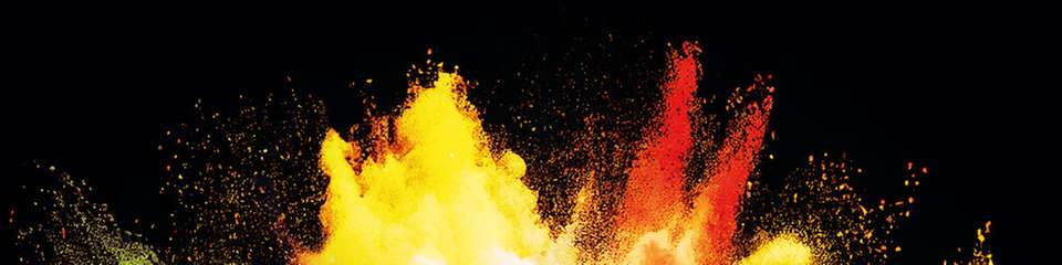 Schüttgutindustrien bringen erhebliche Brand- und Explosionsrisiken mit sich. 