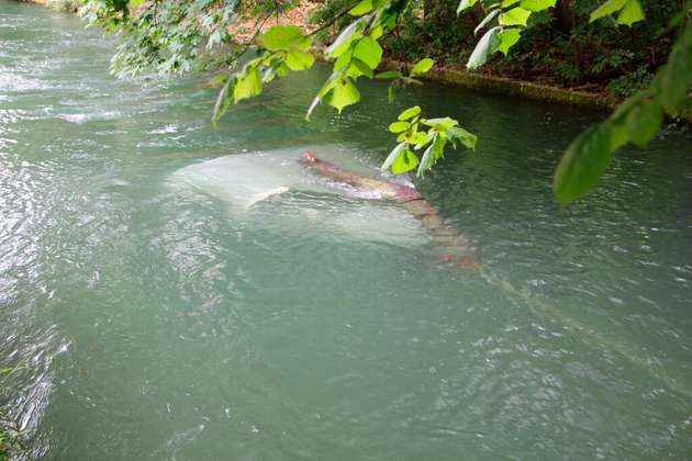Die Pilotanlage für den Energyfish im Auer Mühlbach in München.