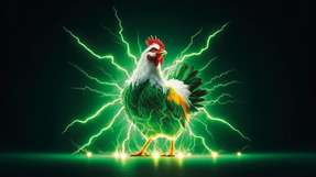 Energiespeicher aus Hühnerfett: Kostengünstige Methode zur Umwandlung von Hühnerfettabfällen in elektrisch leitfähige Nanostrukturen entwickelt.