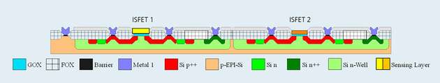 Schematische Darstellung des Chipquerschnitts mit 2 ISFETs.