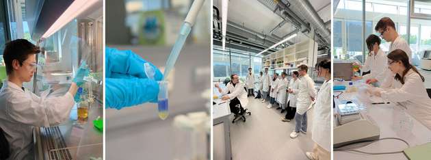 Das iGEM2024-Team bei der Laborarbeit