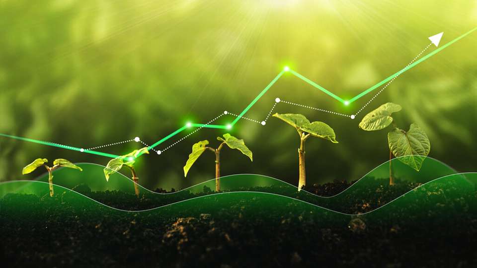 Das erste Halbjahr brachte Aufwind für Erneuerbare. Einem Rekord-Zubau von Solarenergie steht dabei eine eher schwache Expansion  von Windkraftanlagen gegenüber.