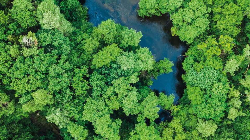 Trotz aller Fortschritte gibt es noch einiges zu tun, um das Energieeffizienzziel der COP28 zu erreichen. Noch ist rund jedes vierte (26 Prozent) der befragten deutschen Unternehmen sich nicht sicher, wie es seine Energieeffizienz verbessern kann. Um die angesprochenen wahrgenommenen Hindernisse für Unternehmen zu minimieren, muss daher noch weitere Überzeugungsarbeit geleistet werden.