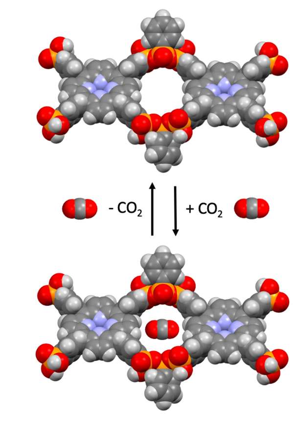 Auf Basis von Phosphonsäure hat das Forschungsteam ein stabiles kovalentes organisches Netzwerk entwickelt, welches in der Lage ist, Kohlendioxid (CO2) zu speichern.