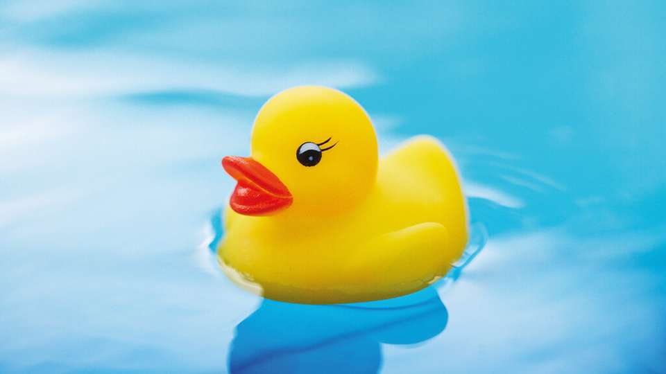 Warum schwimmerbasierte Füllstandsmessung für Fermenter optimal ist